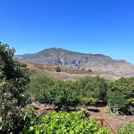 Almagre * Gáldar